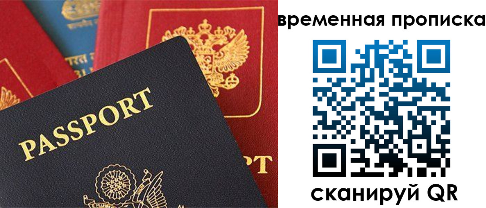 прописка для школы в Заречном